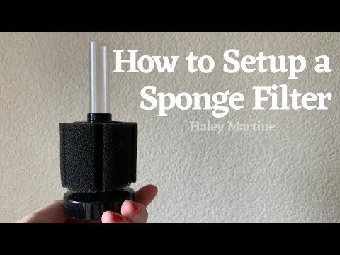 How to Install a Sponge Filter