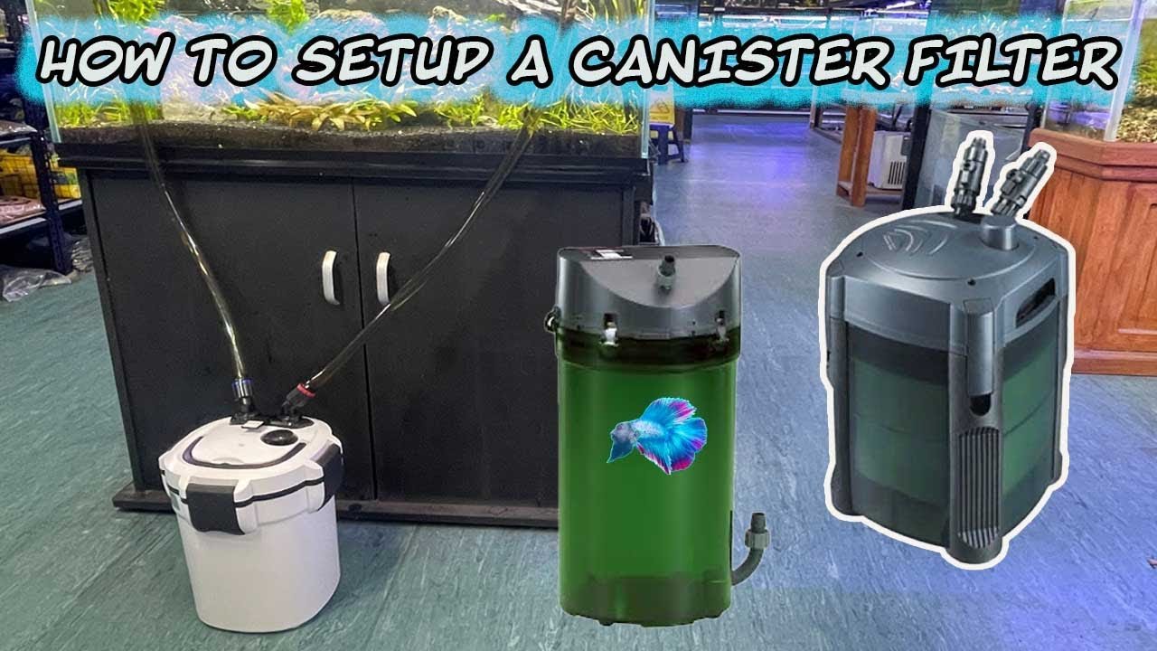 How to Install Canister Filter